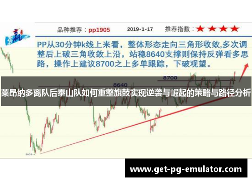 莱昂纳多离队后泰山队如何重整旗鼓实现逆袭与崛起的策略与路径分析