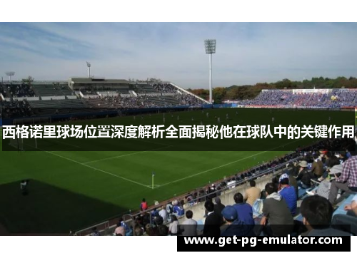 西格诺里球场位置深度解析全面揭秘他在球队中的关键作用 西格诺里球场位置深度解析全面揭秘他在球队中的关键作用