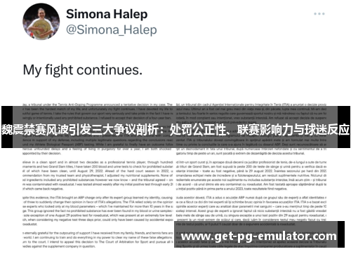 魏震禁赛风波引发三大争议剖析：处罚公正性、联赛影响力与球迷反应
