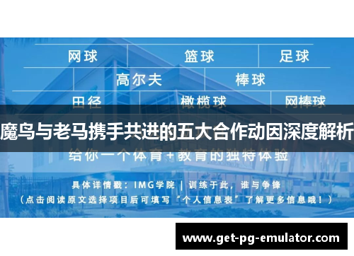 魔鸟与老马携手共进的五大合作动因深度解析