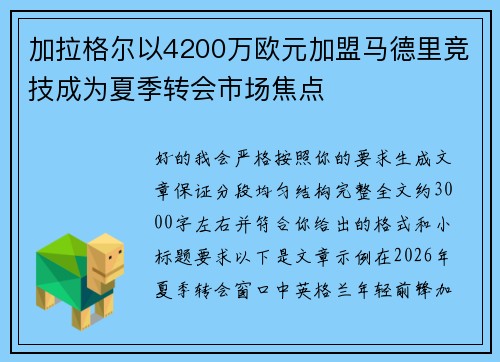 加拉格尔以4200万欧元加盟马德里竞技成为夏季转会市场焦点