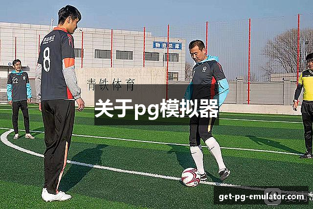 关于pg模拟器